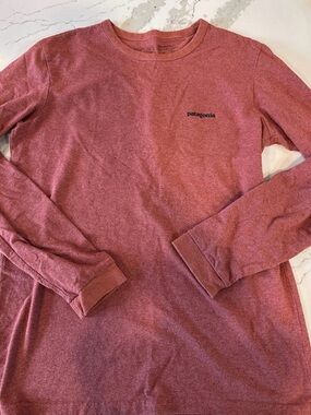 Patagonia Long Sleeve Tee in Heathered Rose